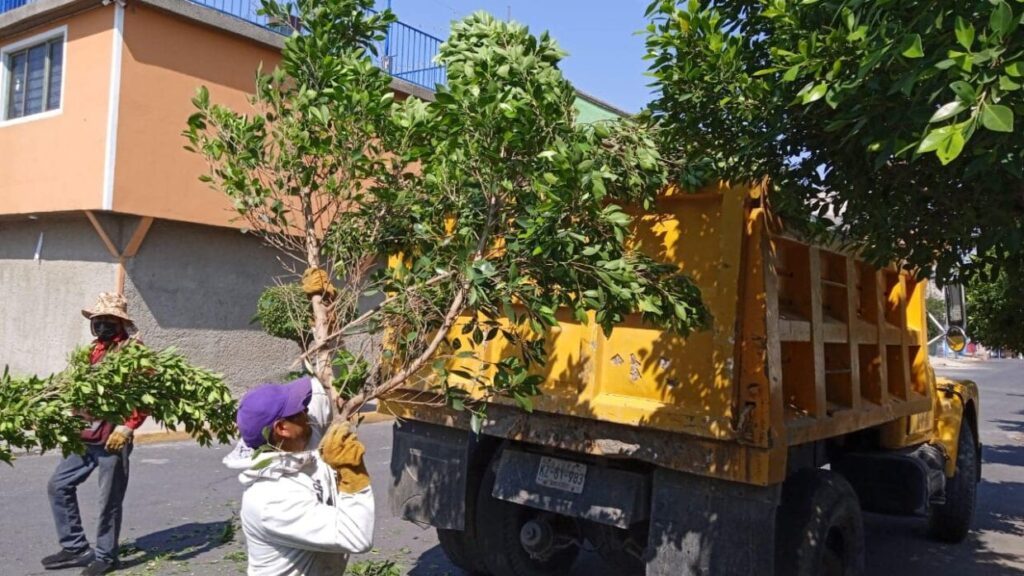 1716682230 RETIRAN MAS DE 30 TONELADAS DE BASURA EN JORNADA DE scaled