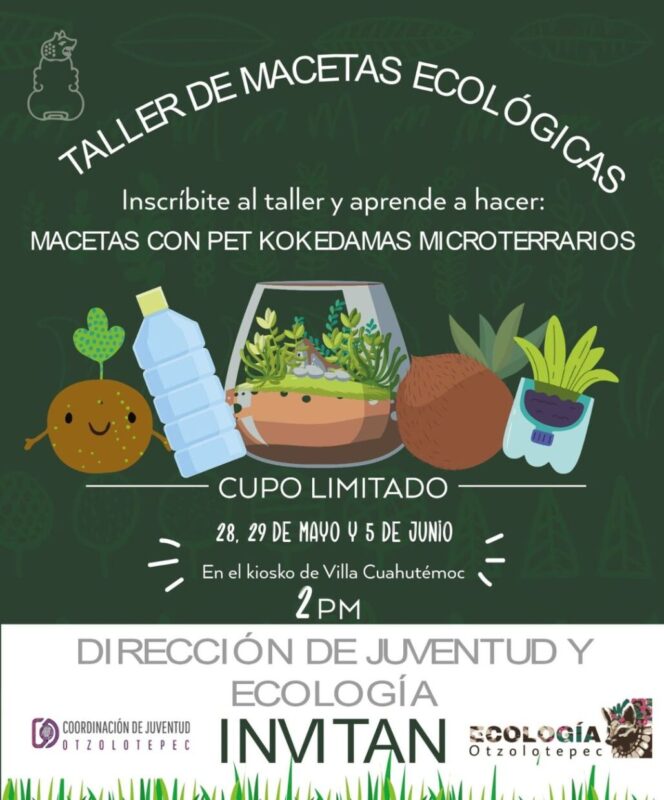 1716743771 talleres JuventudesQueTransforman Ecologia juventud scaled