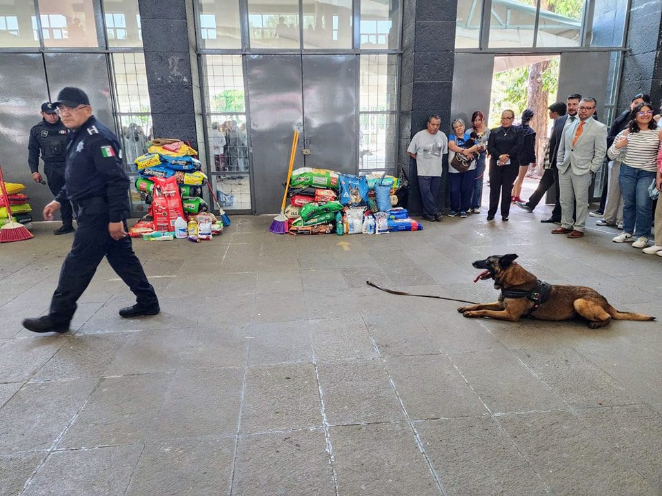 1716759800 180 Nuestros binomios caninos fueron reconocidos hoy por su destacada participacion