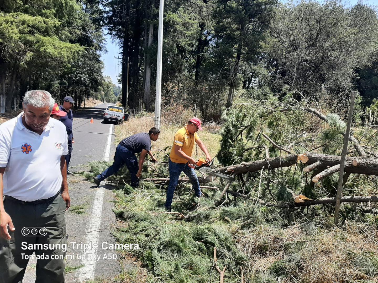 1716845856 829 El H Cuerpo de bomberos atiende oportunamente la caida de