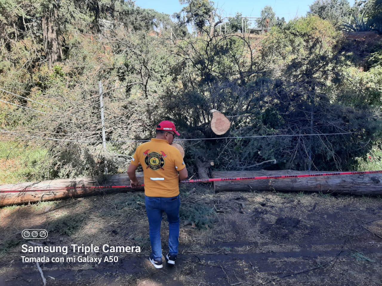 1716845856 989 El H Cuerpo de bomberos atiende oportunamente la caida de