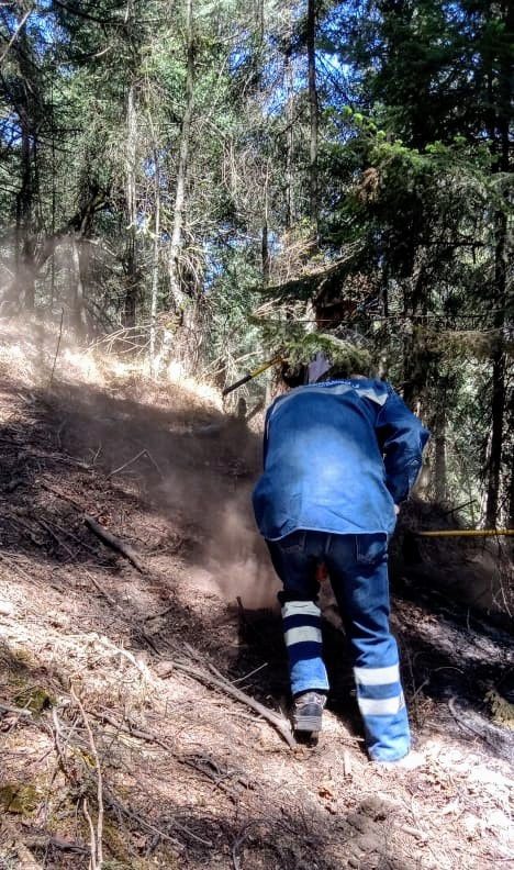 1716940419 364 EnEstosMomentos la brigada forestal de la Direccion de Medio Ambiente