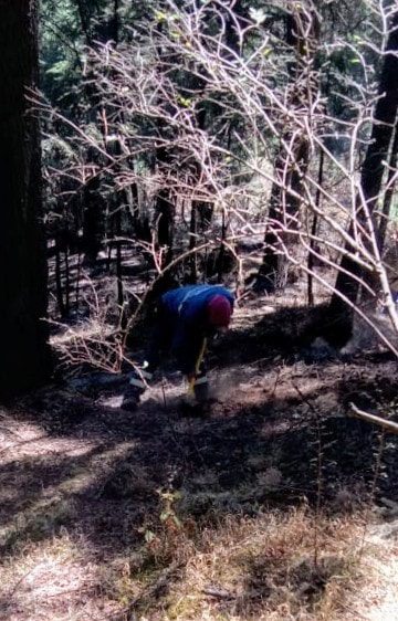 1716940419 50 EnEstosMomentos la brigada forestal de la Direccion de Medio Ambiente