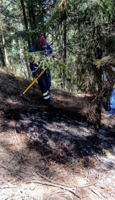 1716940426 EnEstosMomentos la brigada forestal de la Direccion de Medio Ambiente