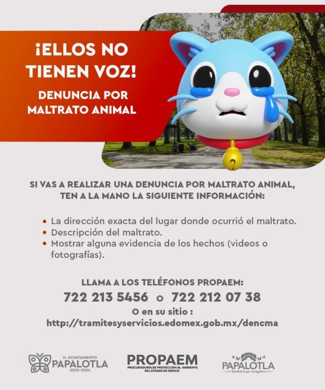 1716942313 solidaridadanimal