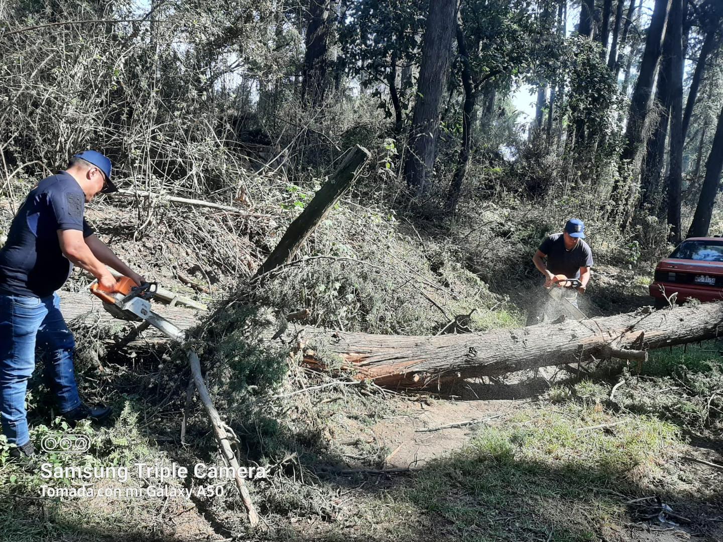 1716972280 6 El H Cuerpo de bomberos atiende oportunamente la caida de