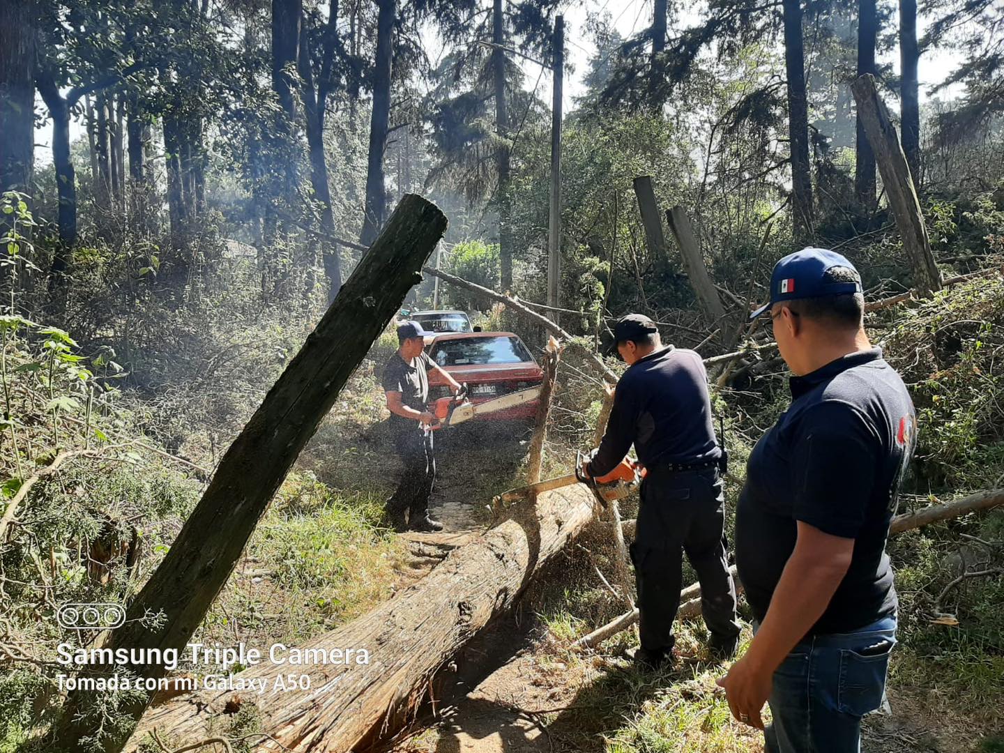 1716972281 264 El H Cuerpo de bomberos atiende oportunamente la caida de