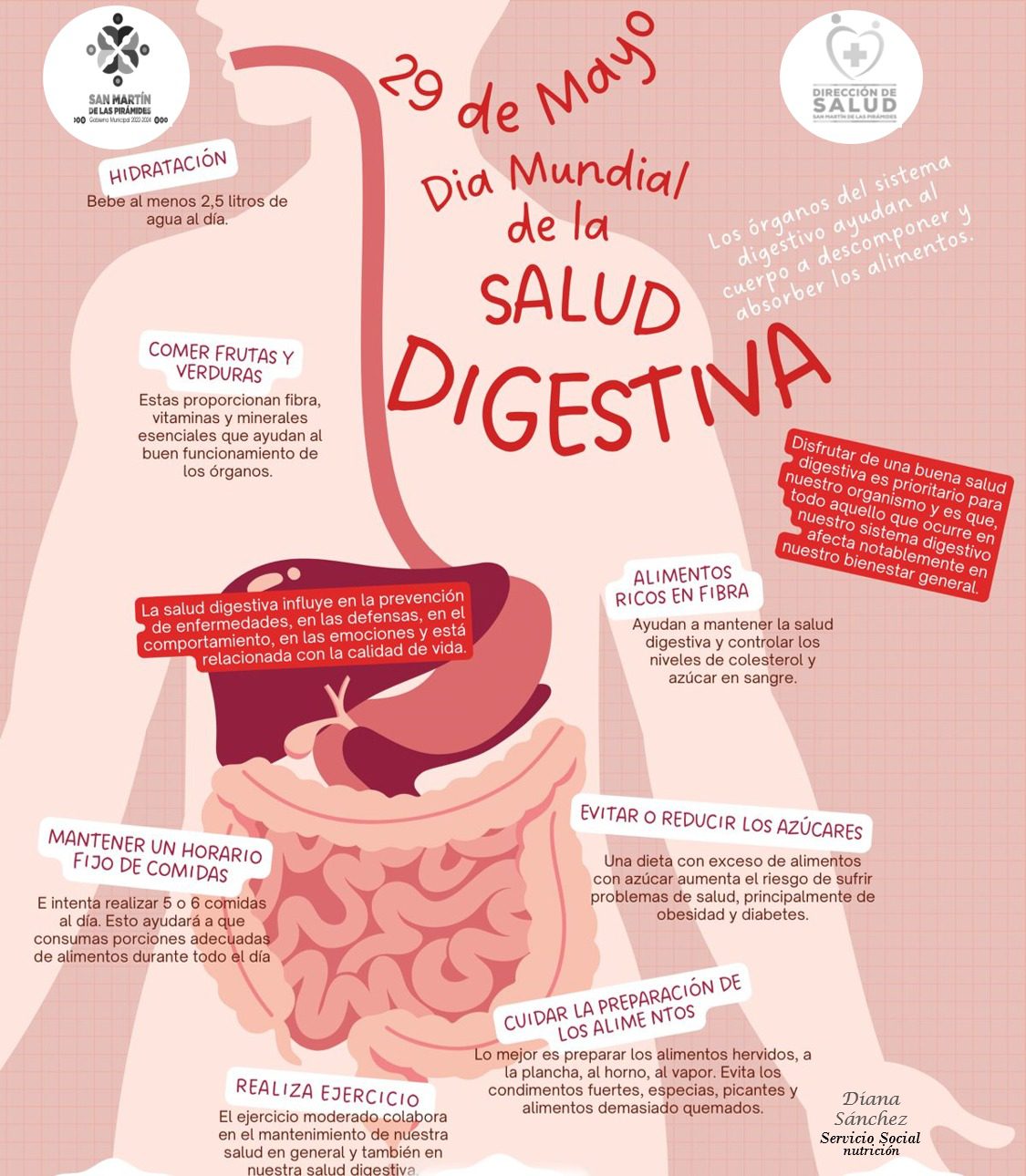 1716995946 763 Hoy celebramos el DiaMundialDeLaSaludDigestiva Una buena salud digestiva es e