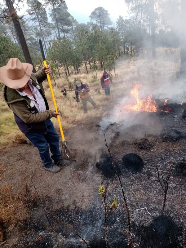 1717084868 334 La tarde de este miercoles la brigada forestal de la