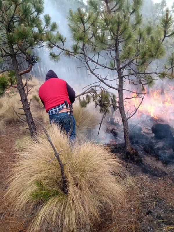 1717084868 540 La tarde de este miercoles la brigada forestal de la