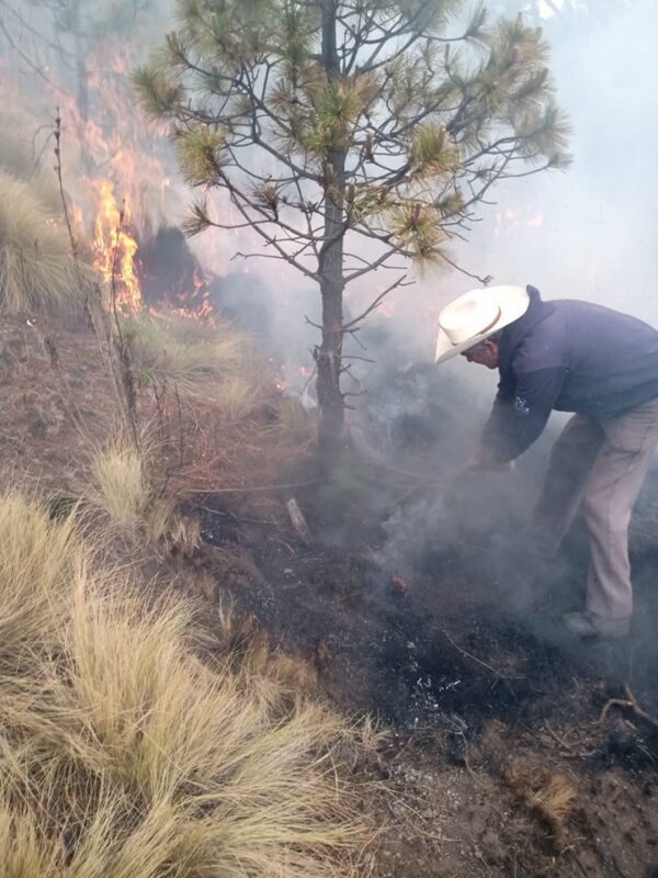 1717084868 748 La tarde de este miercoles la brigada forestal de la