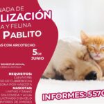 JORNADA DE ESTERILIZACIÓN GRATUITA