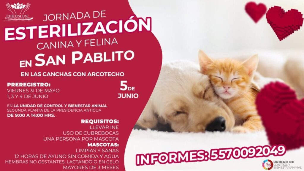 1717097799 JORNADA DE ESTERILIZACION GRATUITA scaled