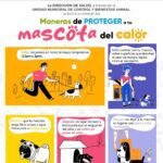 Cuida a tu mascota en temporada de calor 🌡️🐕🐾🐱😻