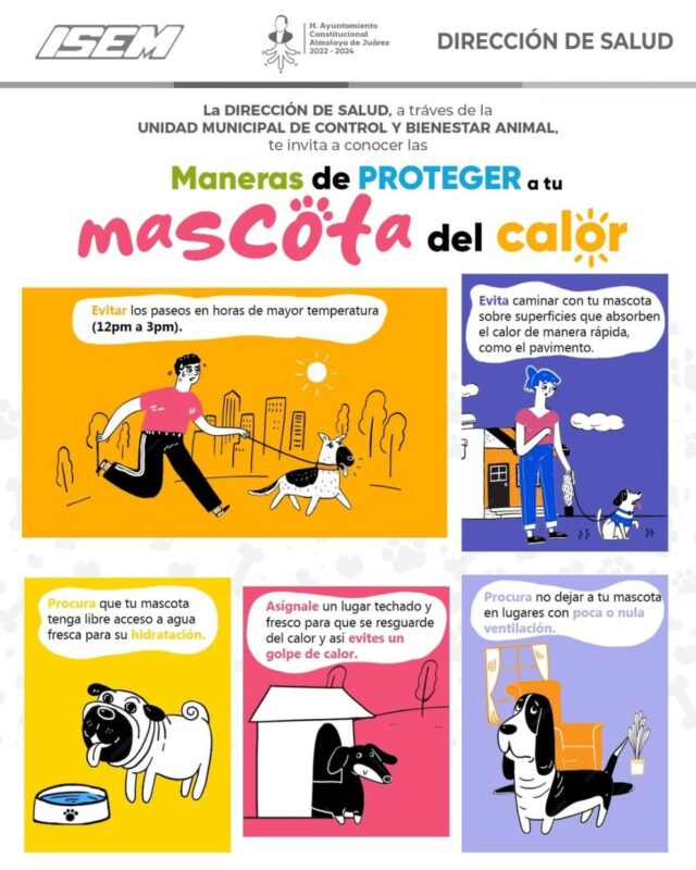 1717135700 Cuida a tu mascota en temporada de calor scaled