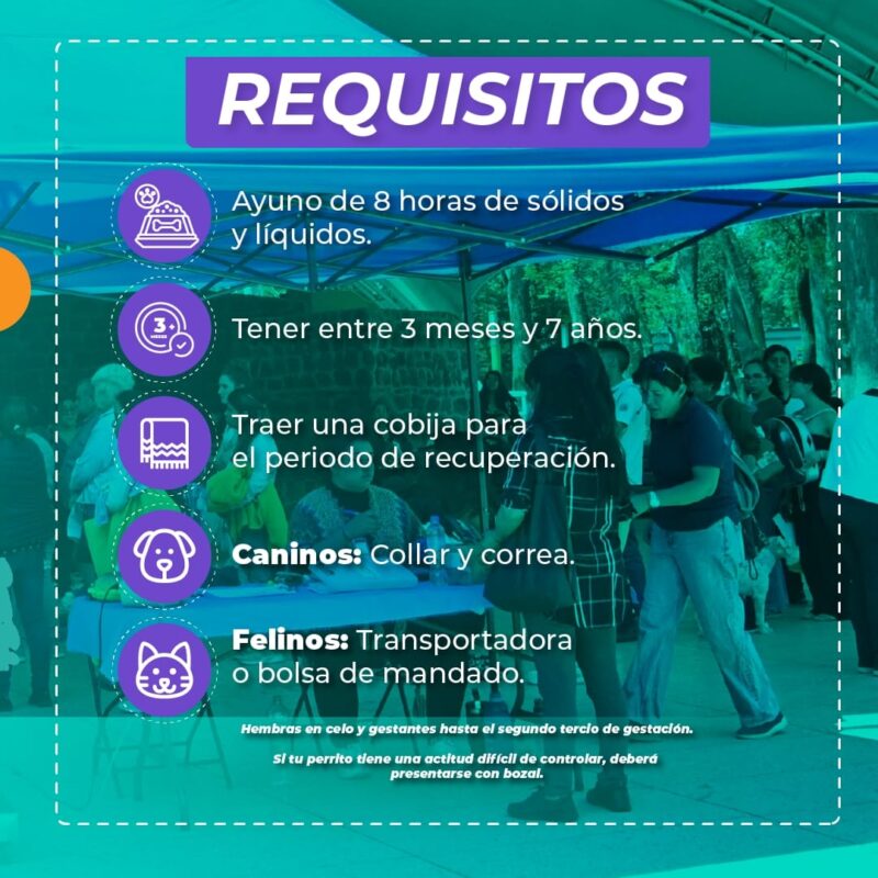 1717137641 666 Se responsable con tu animalito de compania cuida su salud