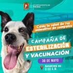 Sé responsable con tu animalito de compañía, cuida su salud