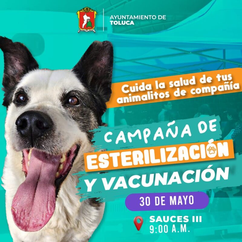 1717137645 Se responsable con tu animalito de compania cuida su salud