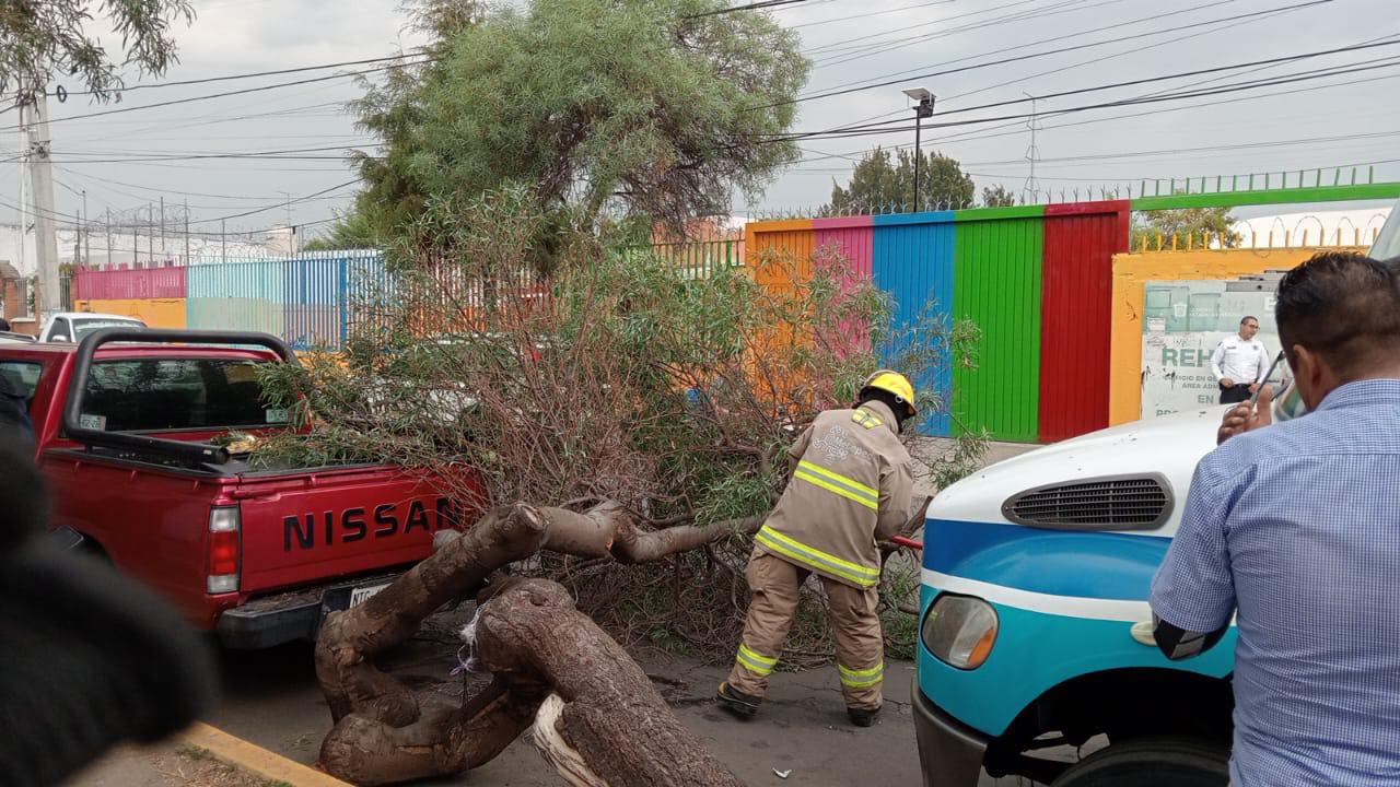 1717178266 575 Toma precauciones Bomberos de Metepec atienden reporte de arbol caido