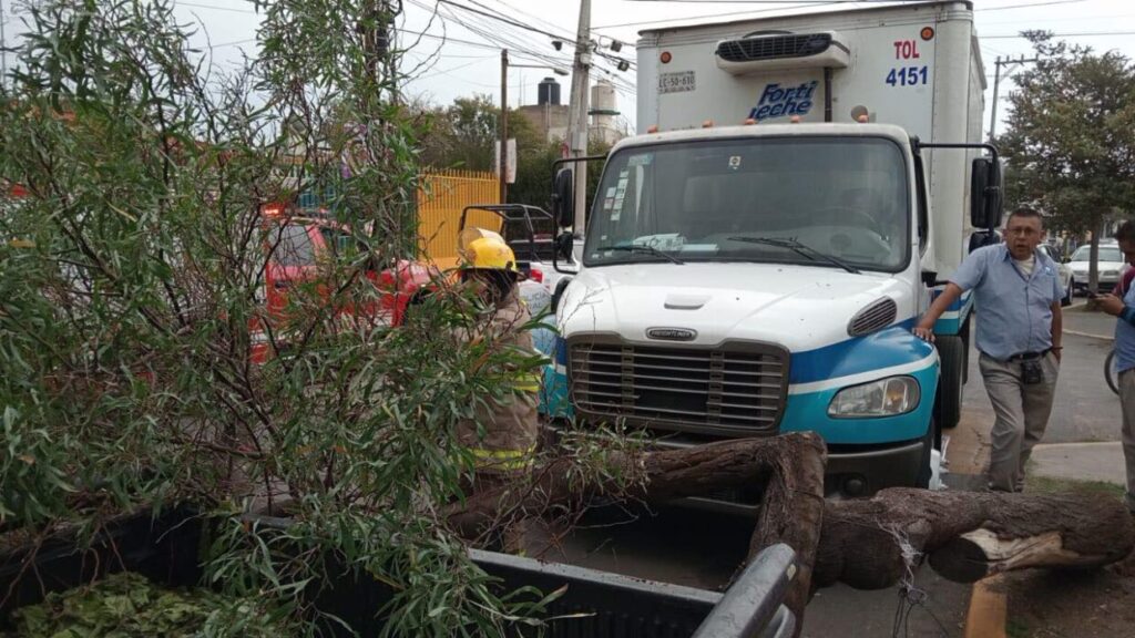 1717178271 Toma precauciones Bomberos de Metepec atienden reporte de arbol caido scaled