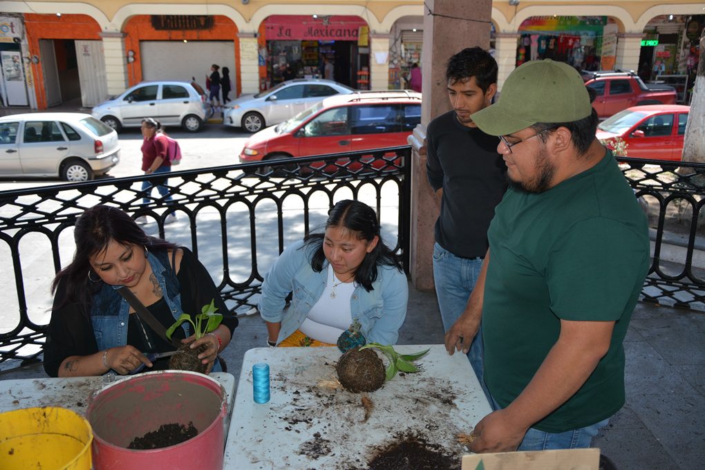 1717195297 242 Con arte y dedicacion alumnos aprenden el cultivo de plantas