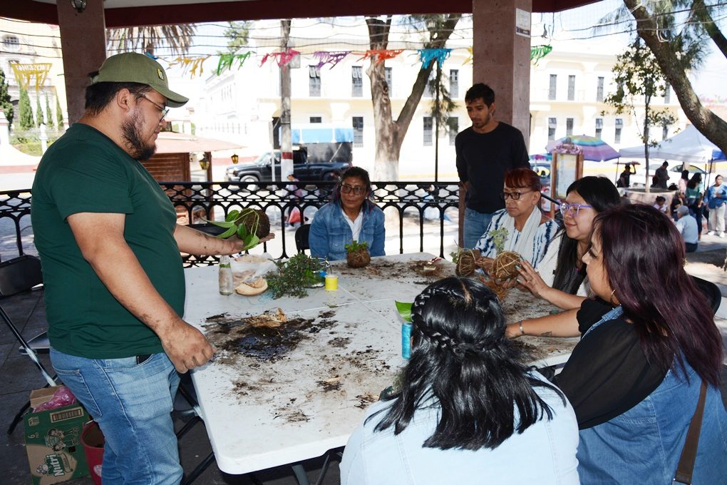 1717195297 519 Con arte y dedicacion alumnos aprenden el cultivo de plantas