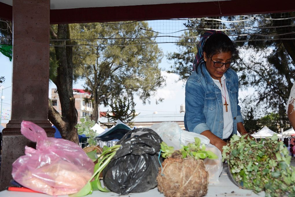 1717195297 812 Con arte y dedicacion alumnos aprenden el cultivo de plantas