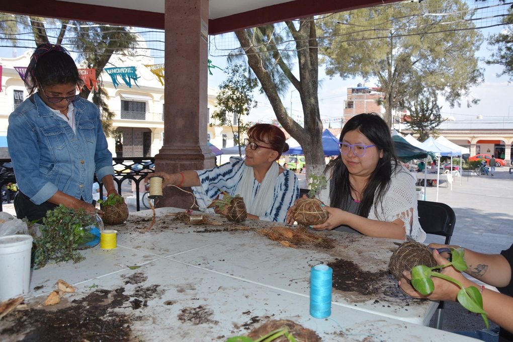 1717195297 922 Con arte y dedicacion alumnos aprenden el cultivo de plantas