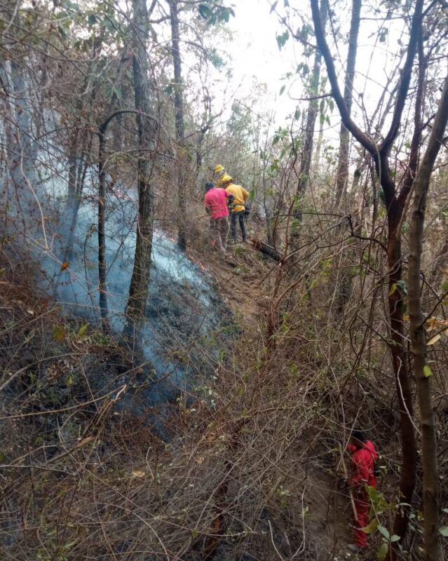 Actualizacion incendio