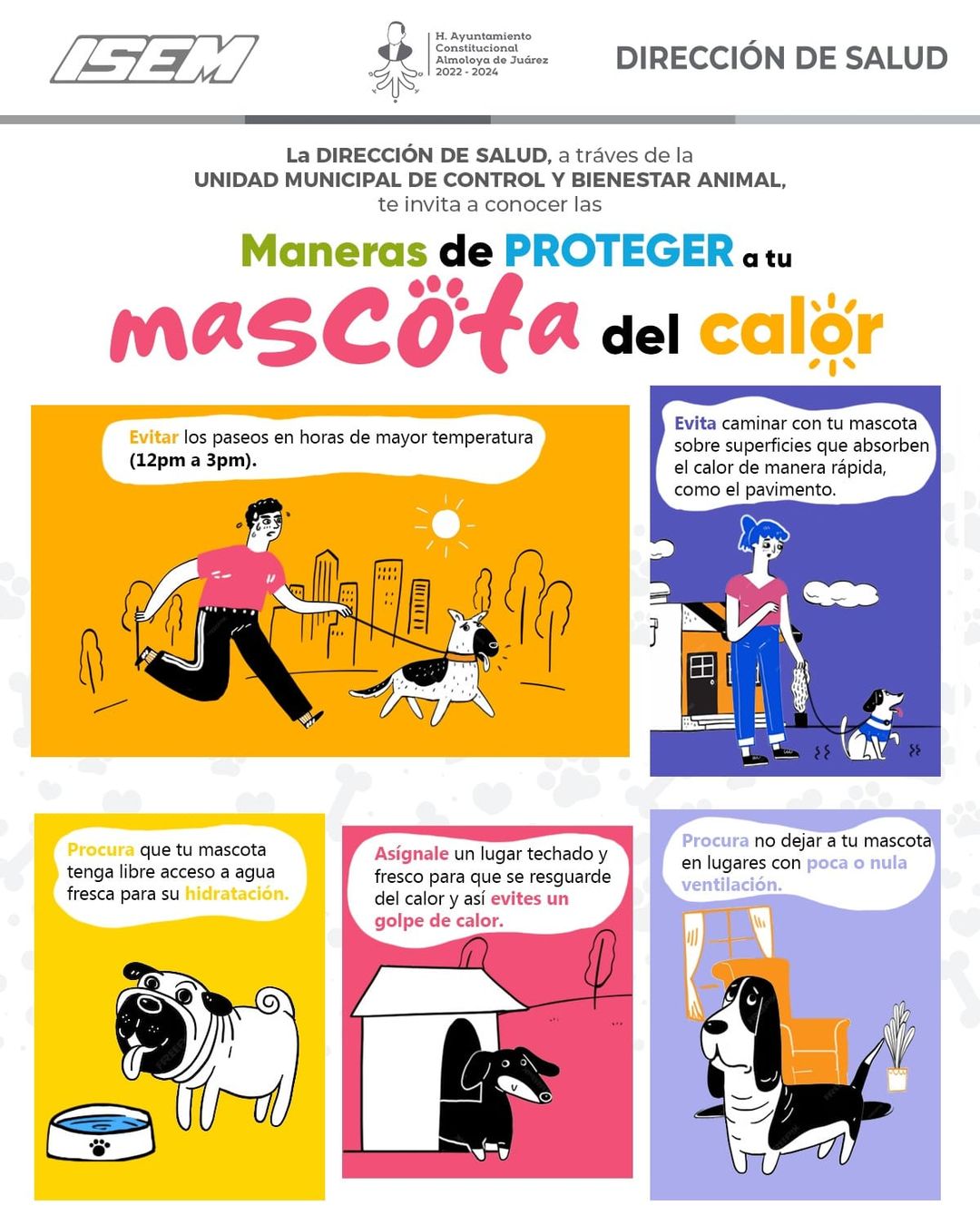 Cuida a tu mascota en temporada de calor