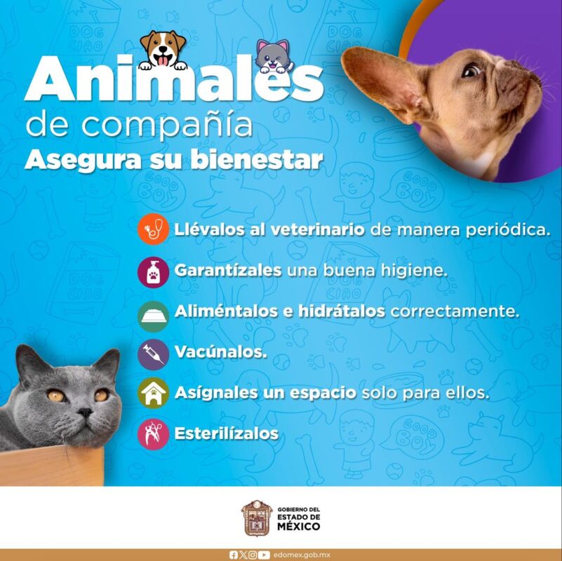 El BienestarAnimal depende de todos Seamos duenos responsables