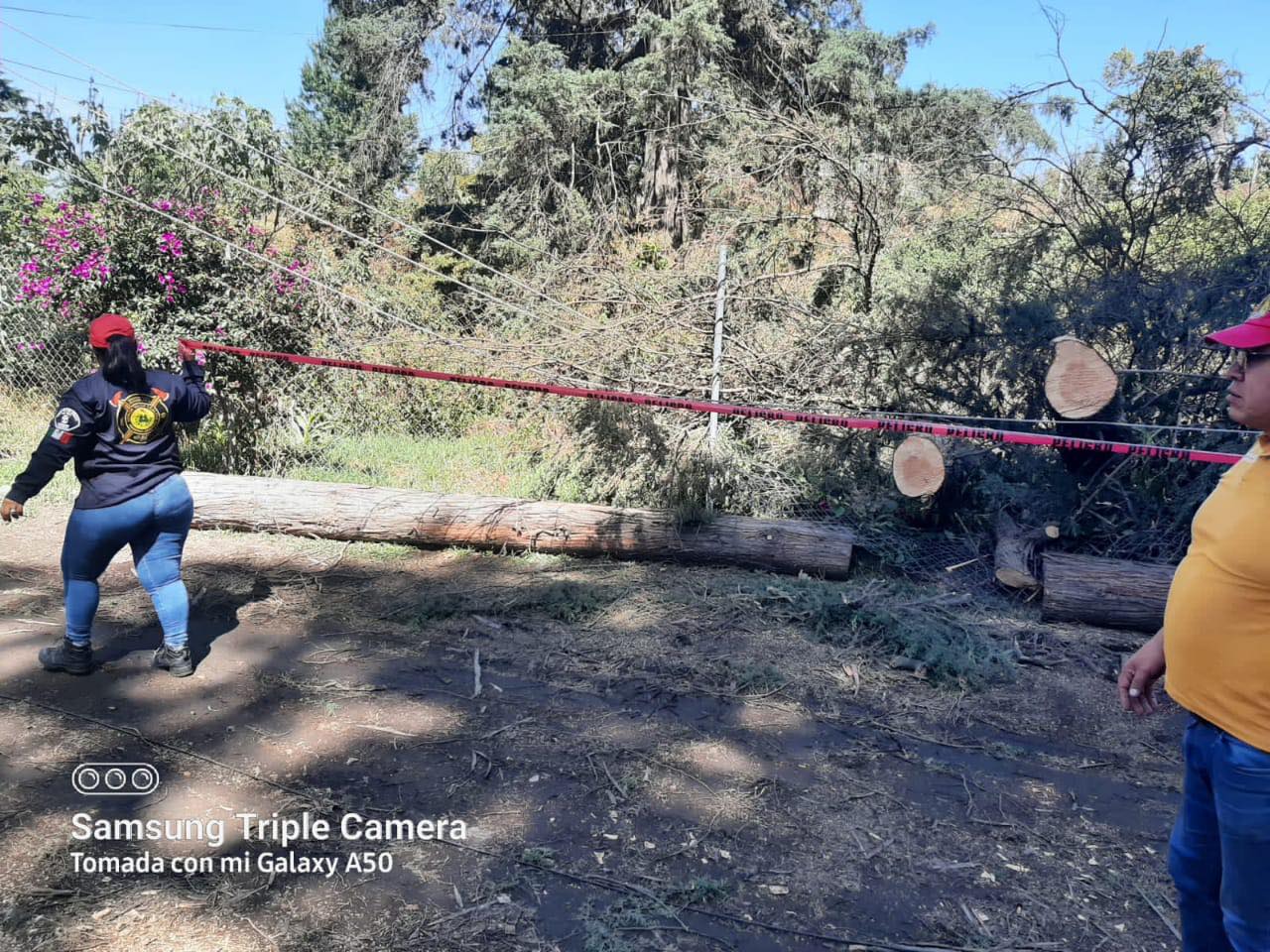 El H Cuerpo de bomberos atiende oportunamente la caida de