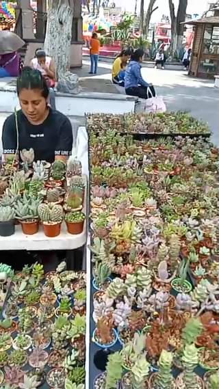 EnVivo desde el Mercado de Artesanias en la explanada municipal