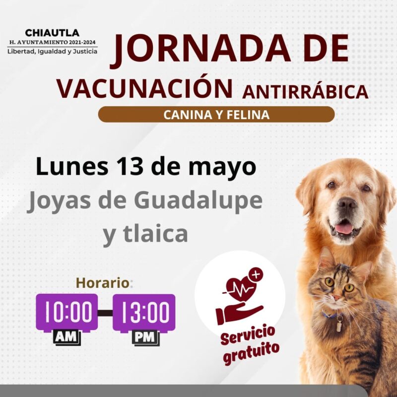 Este lunes 13 tendremos Jornada de vacunacion canina y felina