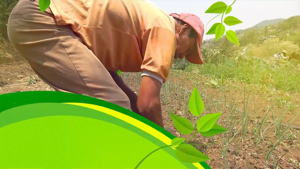 Gracias a la agricultura muchos alimentos garantizan calidad de vida