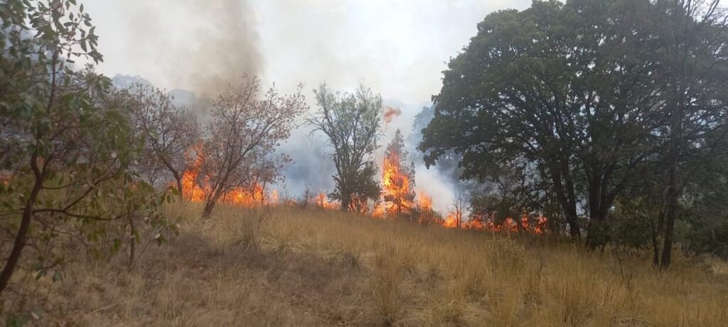 Invitación a toda la población para participar en la sofocación del incendio en