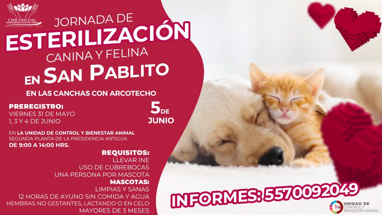 JORNADA DE ESTERILIZACION GRATUITA