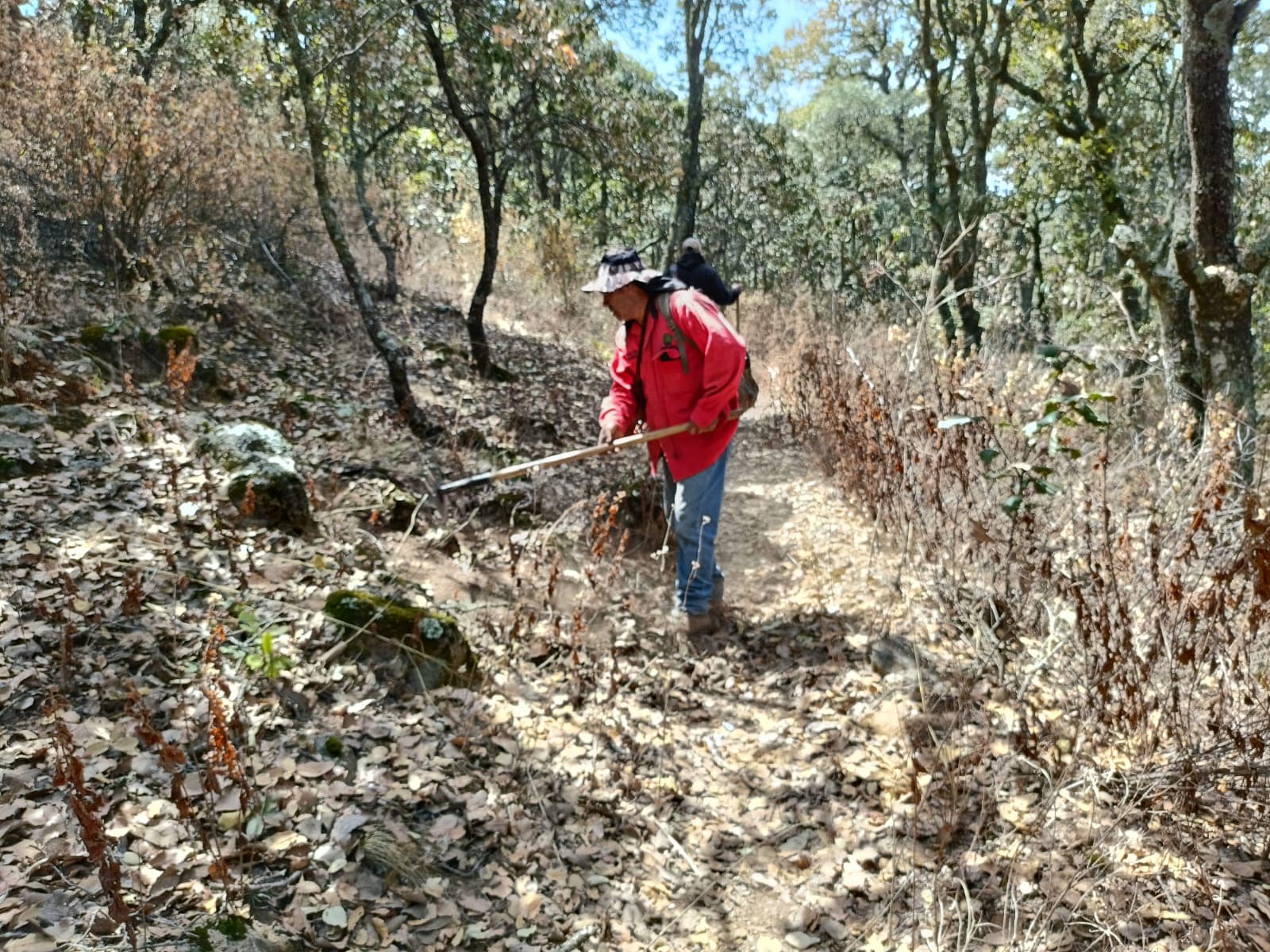 Para seguir conservando nuestro emblematico cerro Xocotepetl la Brigada Municip