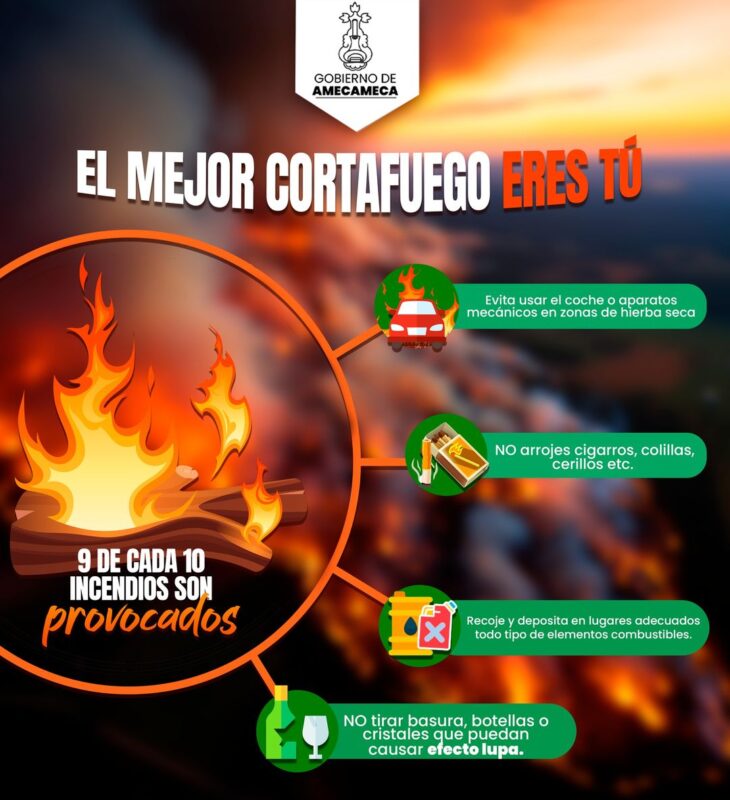 Sabes ¿Que es un incendio forestal o ¿Como prevenirlos