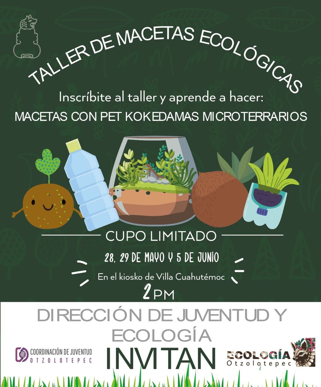 talleres JuventudesQueTransforman Ecologia juventud