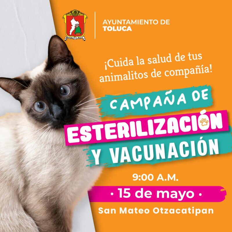 ¡Controlemos juntos la sobrepoblación canina y felina en #Toluca! Te esperamo