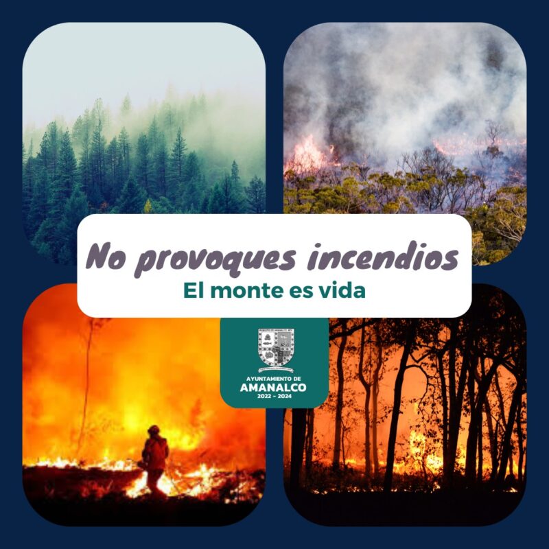 ¡El monte es vida No provoquemos incendios cuidemos nuestra flora