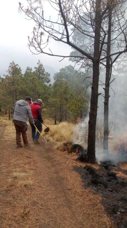 “¡Lo que se quema, no se recupera! Alto a los incendios forestales” La brigad