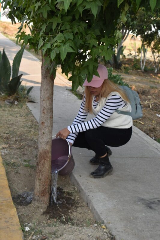 “¡Únete a nosotros para cuidar y preservar nuestros árboles! En esta temporada