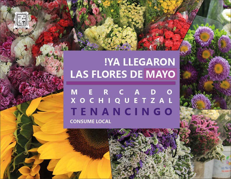 ¡Ya llegaron las flores de mayo Consume local y visita