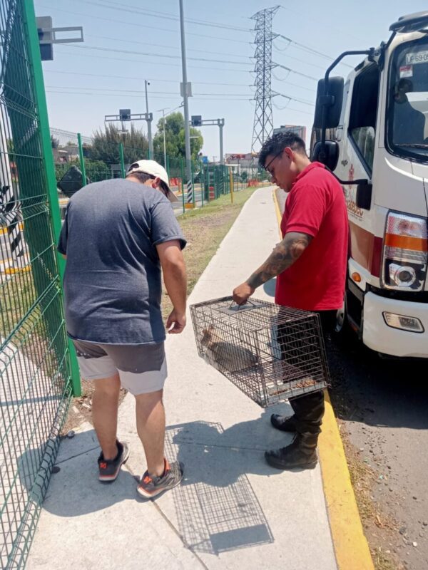 ¿Recuerdan que el viernes les informamos que nuestros companeros de scaled