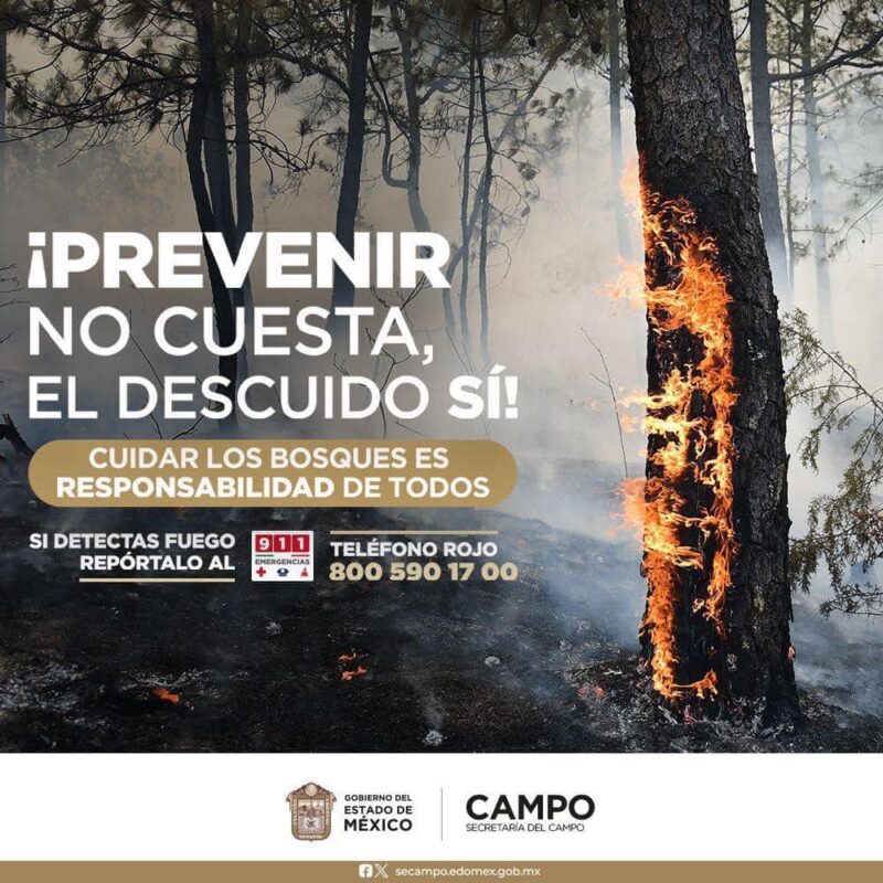 ¿Sabías qué? 9 de cada 10 #IncendiosForestales en el país son causados por el ho