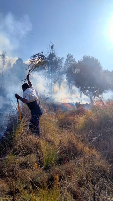 1717333518 396 Incendio Proteccion Civil y Seguridad Publica atienden un incendio