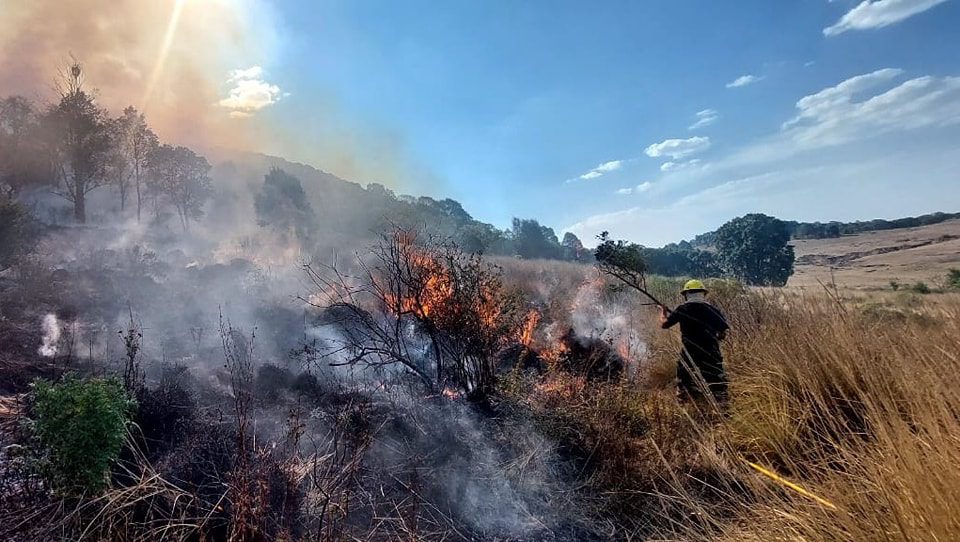 1717333523 Incendio Proteccion Civil y Seguridad Publica atienden un incendio