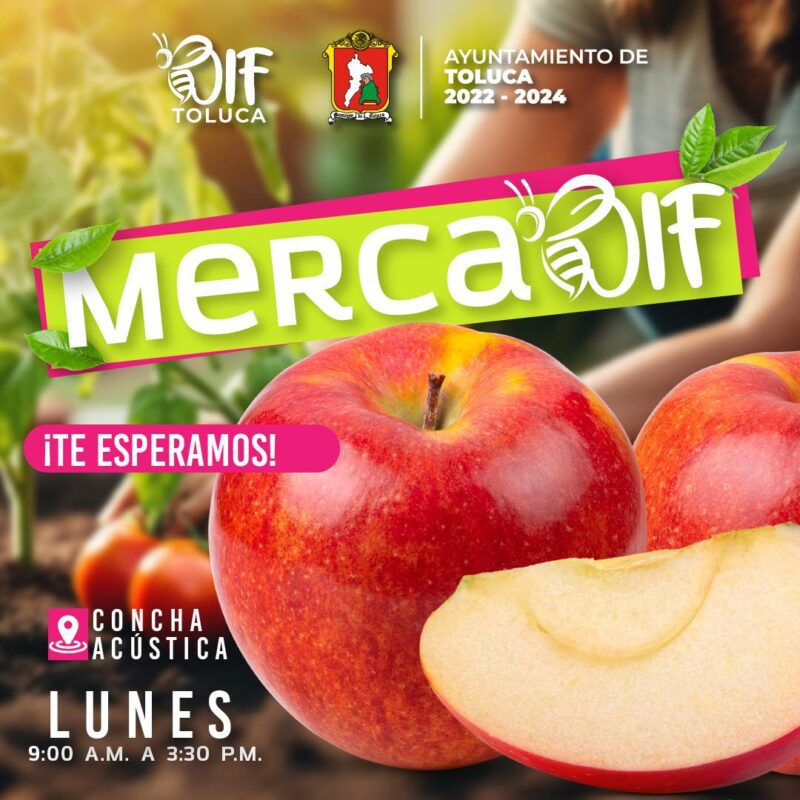 1717458654 369 ¡Hoy es lunes del MercaDIF del DIF Toluca Te esperamos